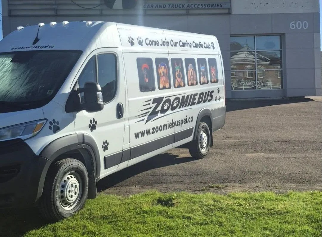 The Zoomie Bus van, a white cargo van with black ZOOMIEBUS lettering, paw prints and six dogs in sweatbands on the windows